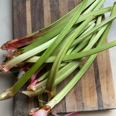 Rhubarb- Fresh Stalks