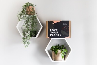 Love Your Plants - Gift Pack Love Your Plants - Gift Pack