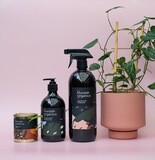 Indoor Plant Care Bundle - The Bigger Essentials