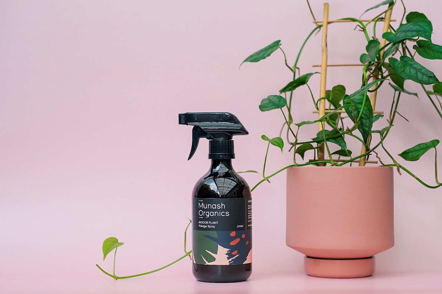 Indoor Plant Foliage Spray 500ml