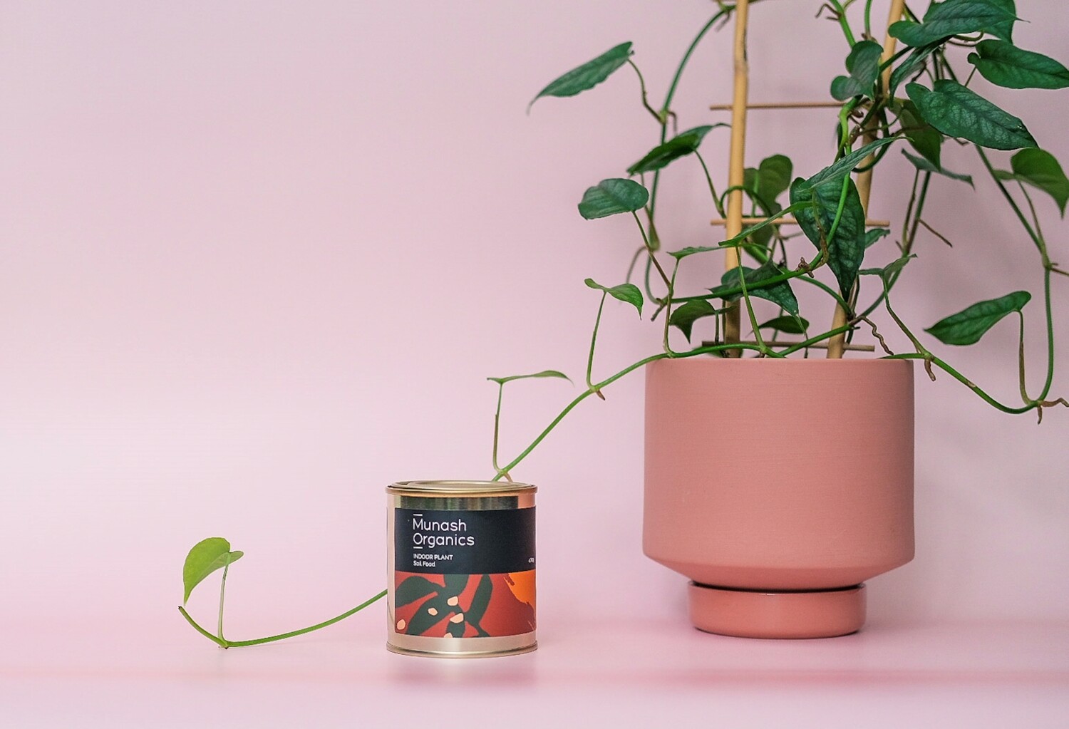 Indoor Plant Soil Food 400g