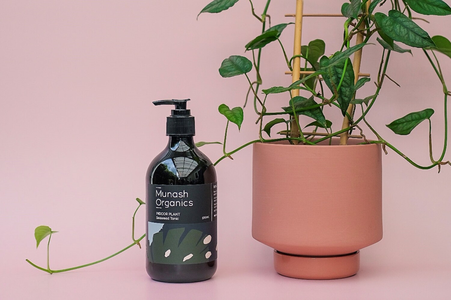 Indoor Plant - Seaweed Tonic 500ml