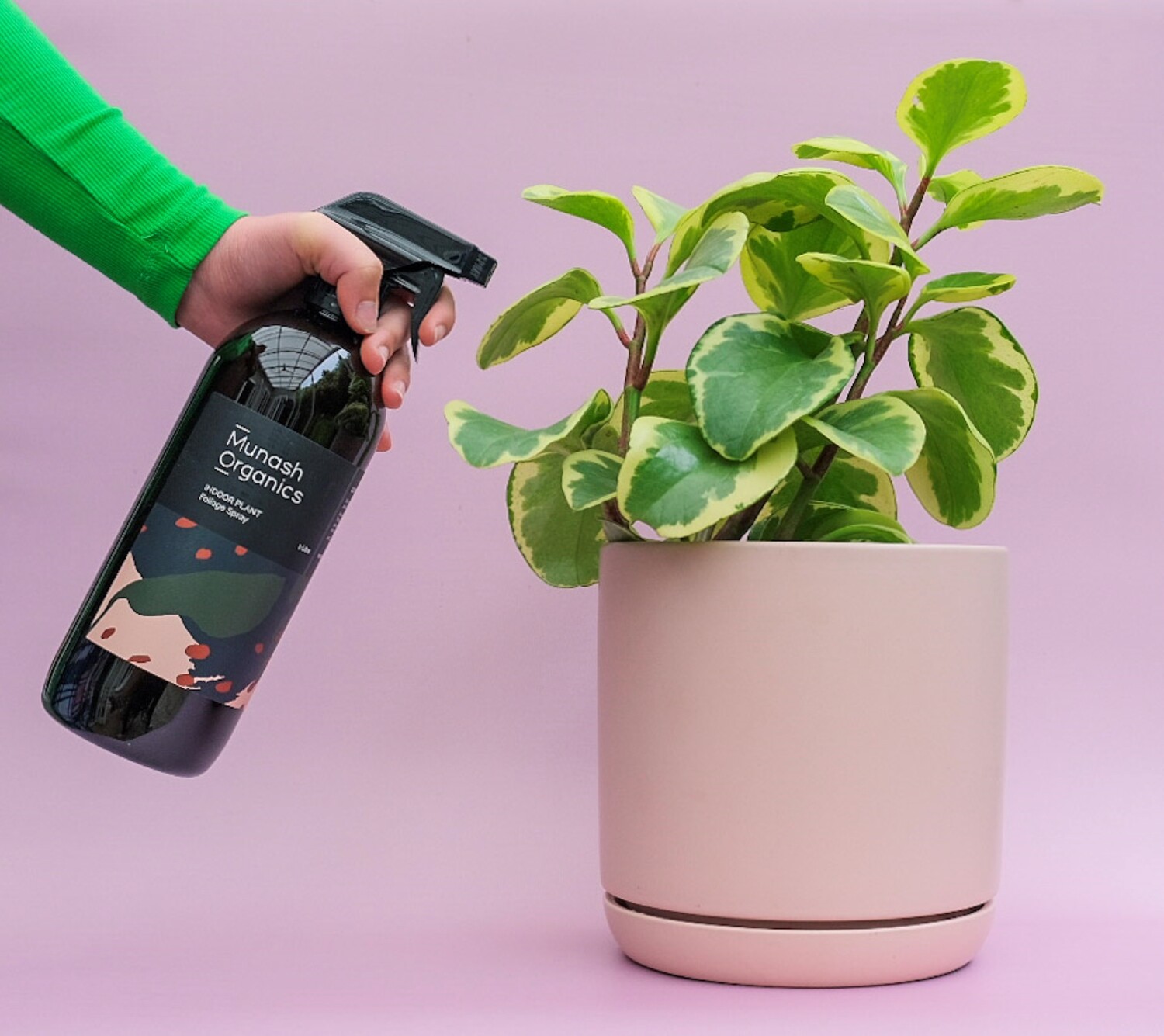 Indoor Plant Foliage Spray 1 Litre