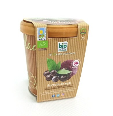 HELADO VEGANO ECOLÓGICO DE ACAI 480 ML (Envío gratuito) HELADO VEGANO ECOLÓGICO DE ACAI 480 ML (Envío gratuito)