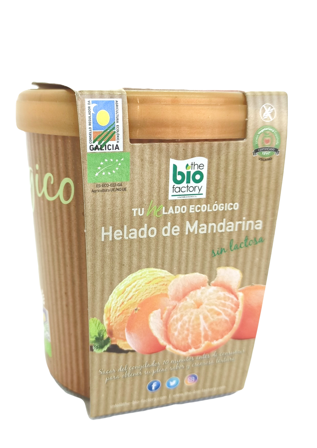 HELADO DE MANDARINA 480 ML (Envío gratuito) HELADO DE MANDARINA 480 ML (Envío gratuito)