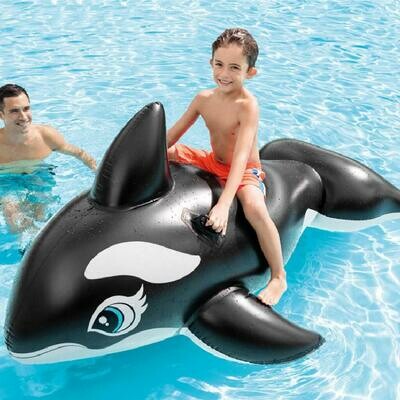 Juego de Piscina Willy Negro
