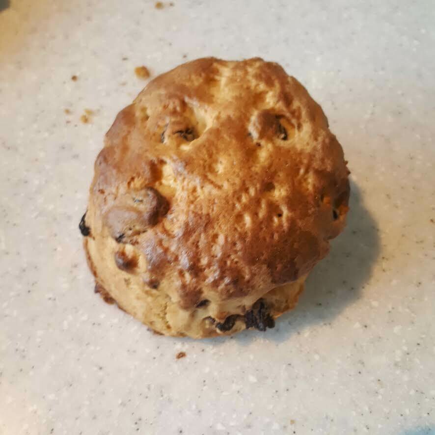 Fruit Scone