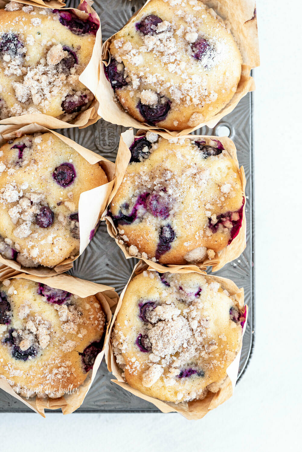 Blueberry Muffin