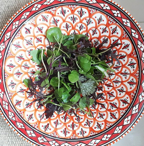 Local Millhouse Farm Organic Mixed Leaves - Medium Bag Washed