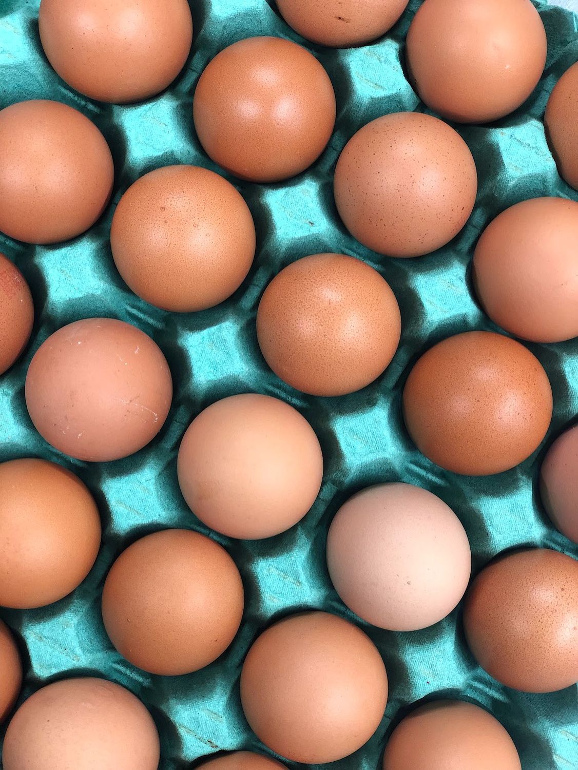 Half Dozen Free Range Eggs