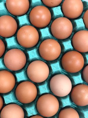 Half Dozen Free Range Eggs