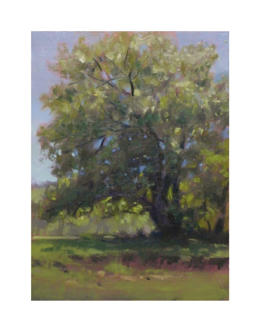 Trees in Oils, February 26th