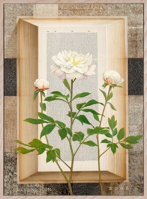 고영훈 Ko YoungHoon - 작약 (Translate: Peony) 고영훈 Ko YoungHoon - 작약 (Translate: Peony)