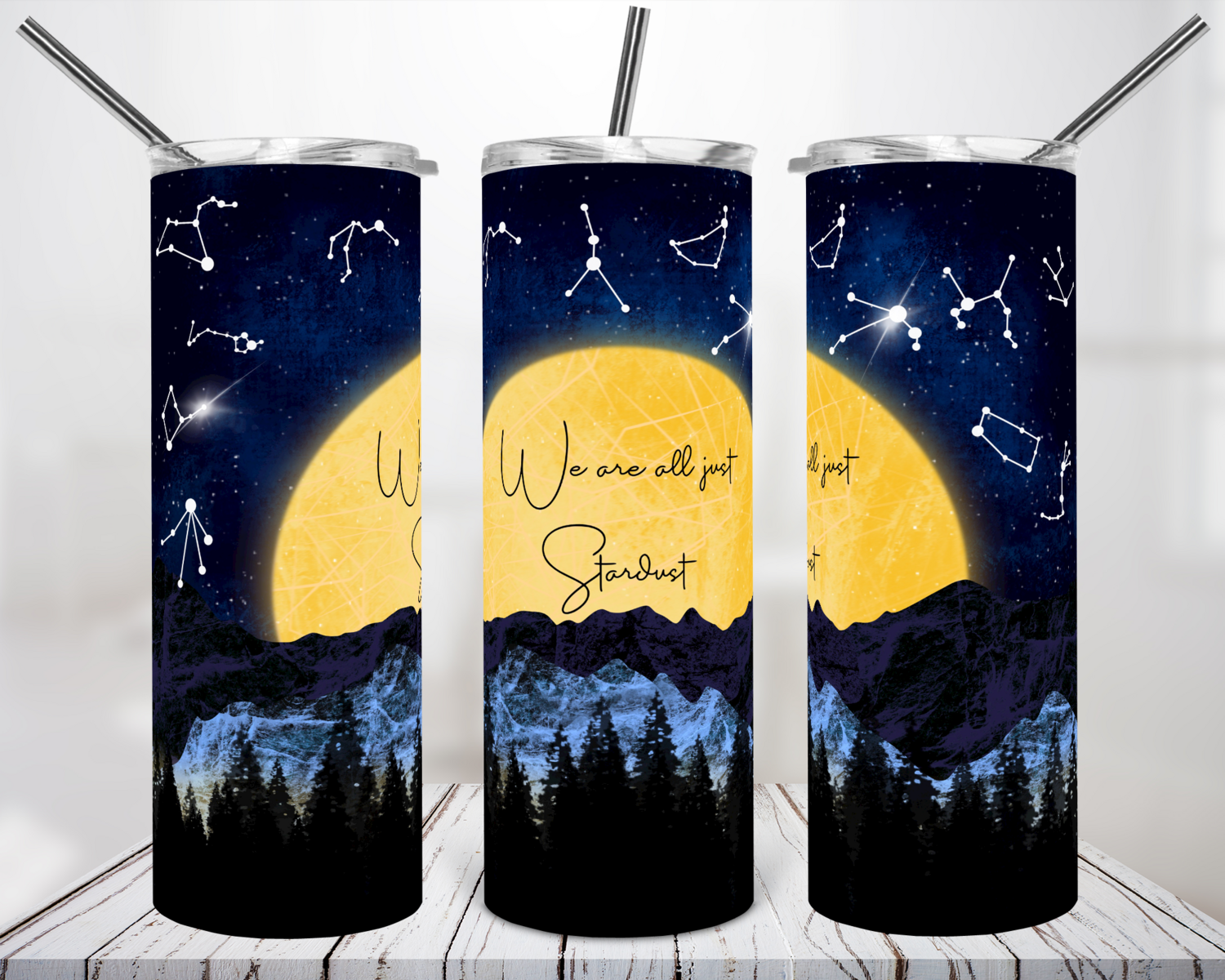 We are all just Star dust  - 20oz Tumbler Design
