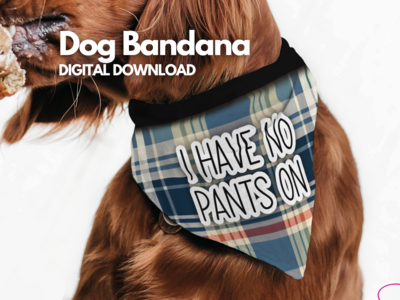 Dog Bandana - I have no pants on - blue tartan