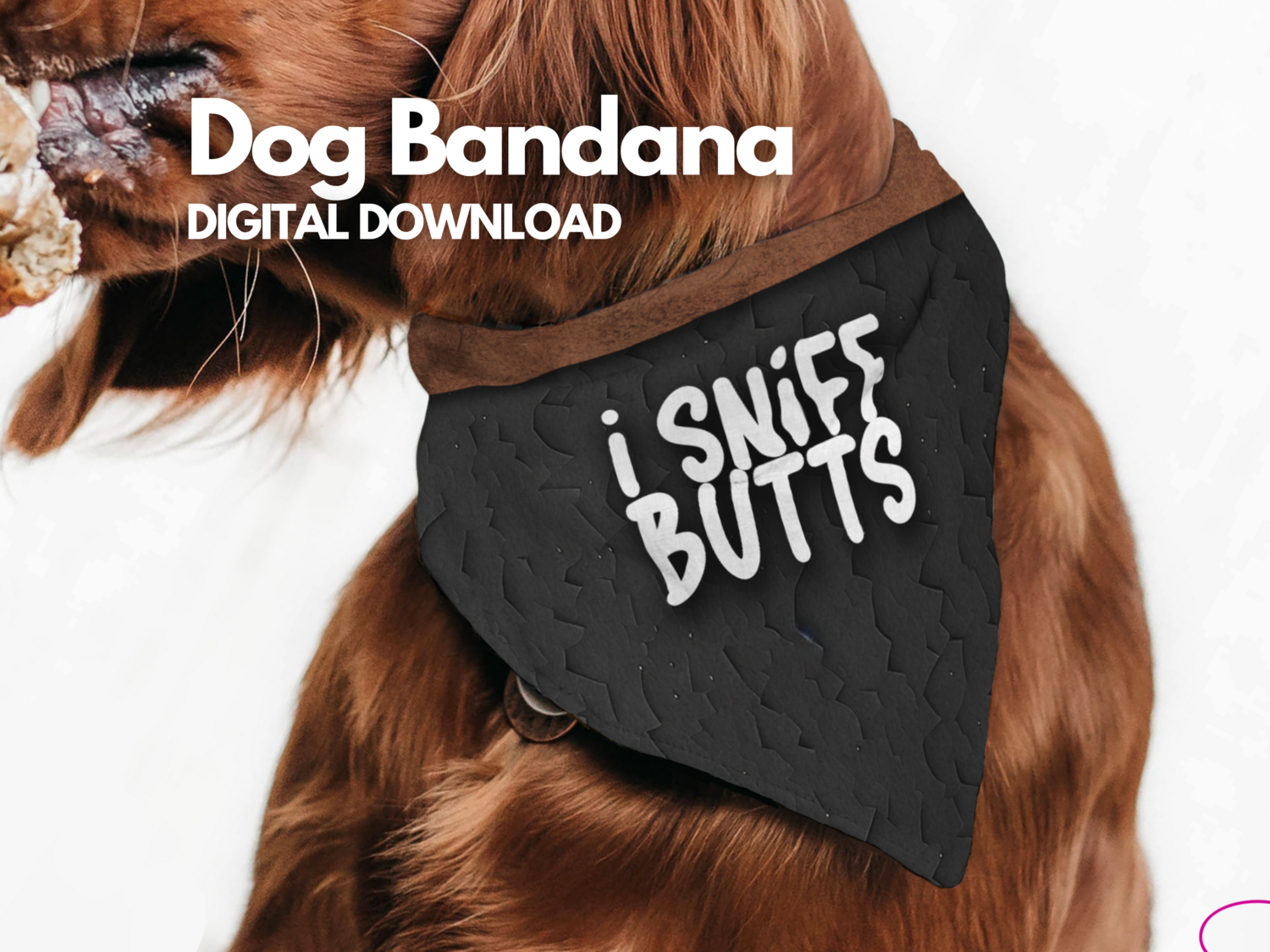 Dog Bandana - I sniff butts