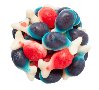 Gummy Whale