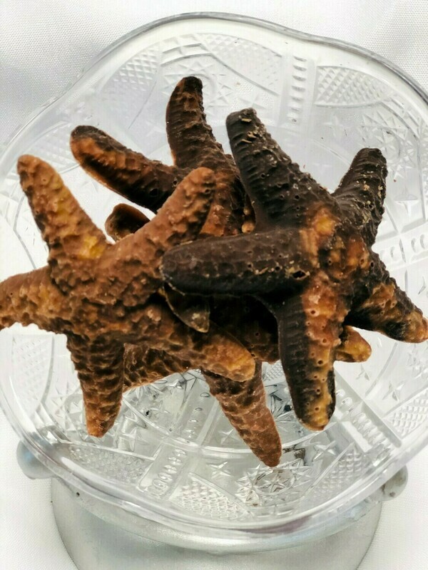 Starfish - Chocolate & Peanut Butter (5)