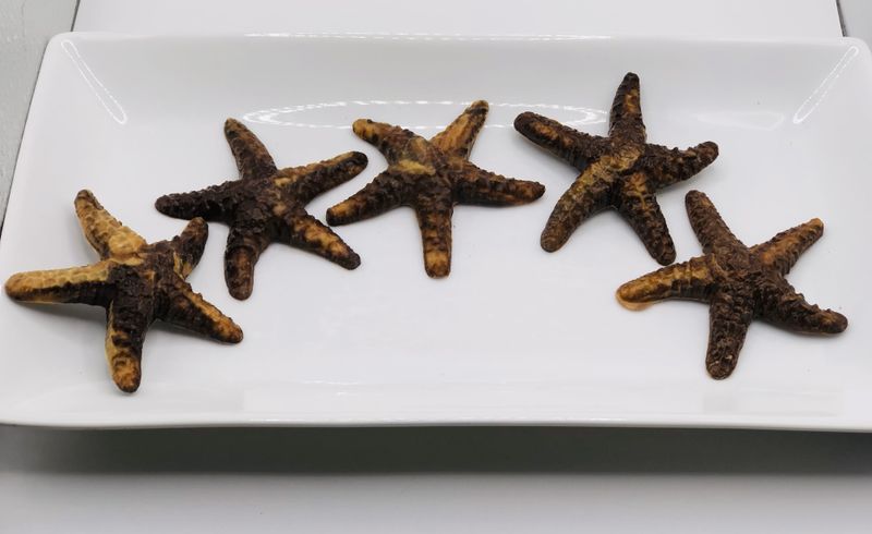 Starfish - Chocolate & Peanut Butter (5)