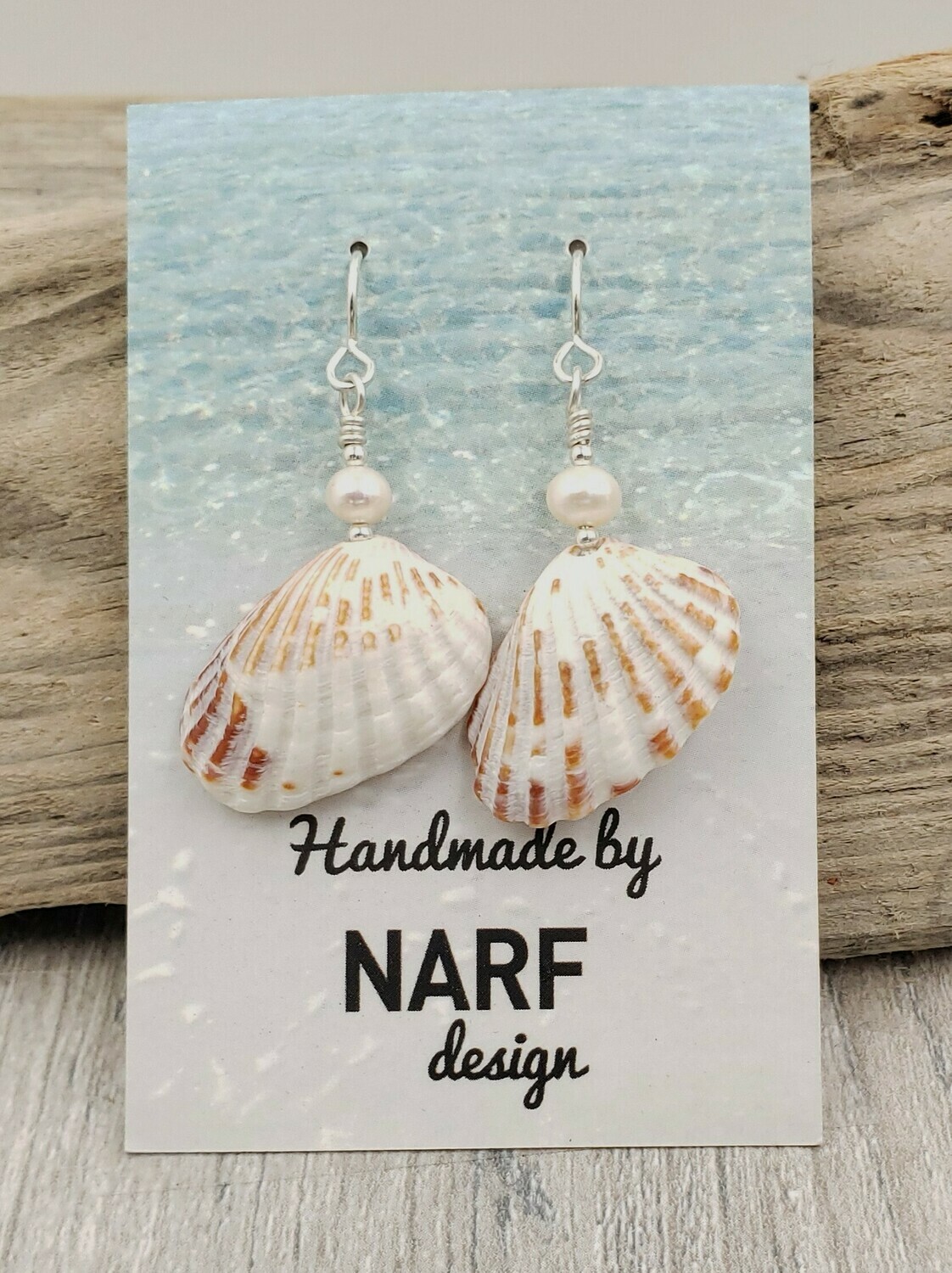 Broad Ribbed Cardita Shell Earrings with Freshwater Pearls