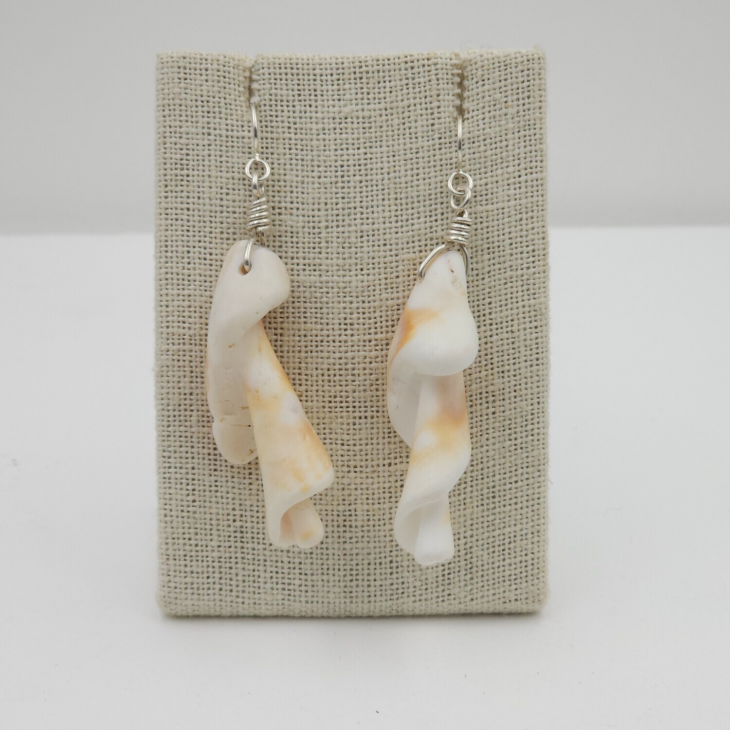 Spiral Shell Earrings with Wrapped Wire