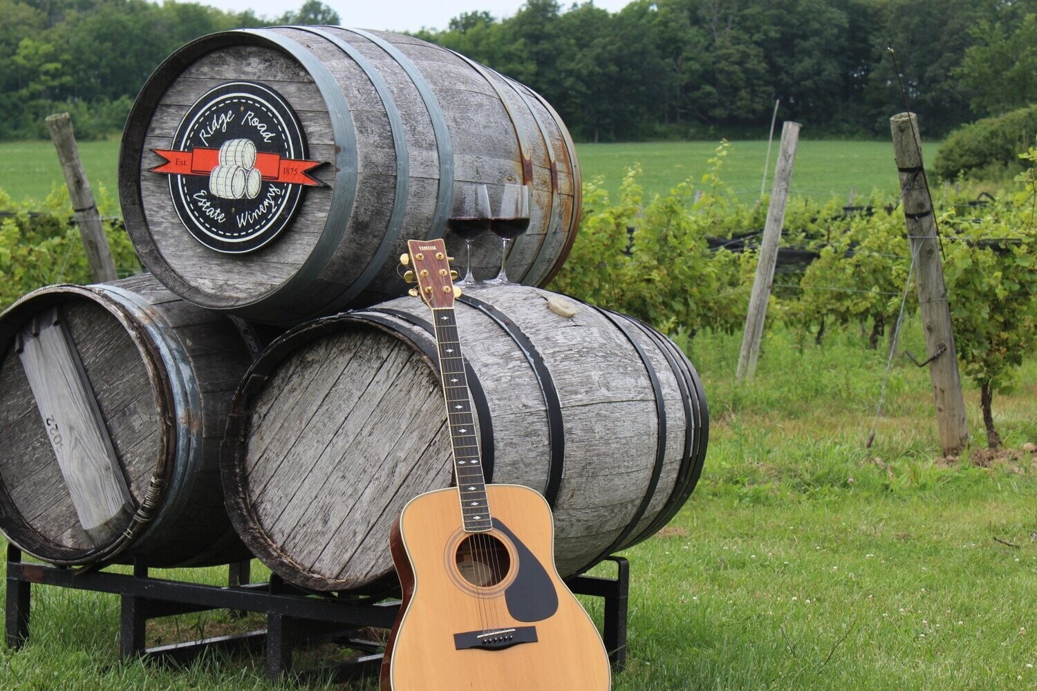 Sunsets and Vines Tickets