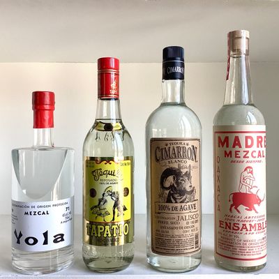 tequila and mezcal