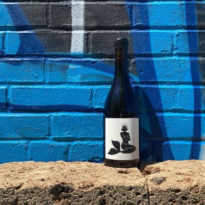 spotlight: Vin Noé