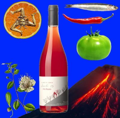 spotlight: Vino di Anna