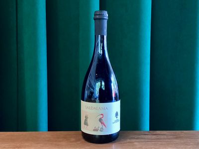 Podere Sottoilnoce, Saldalama Vino Rosso Frizzante