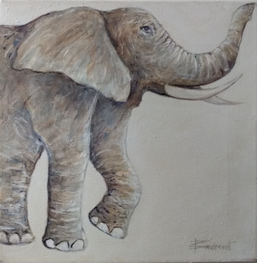 Éléphant, oeuvre originale 12x12 pouces