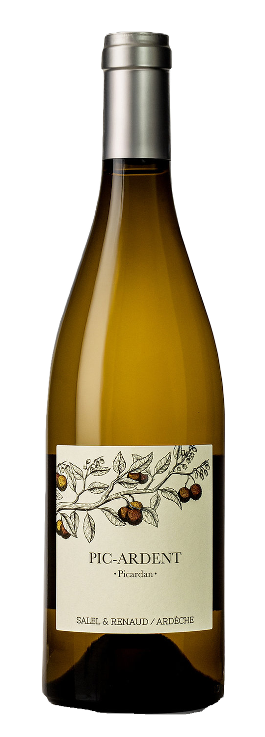 Domaine Salel &amp; Renaud "Pic-Ardent"