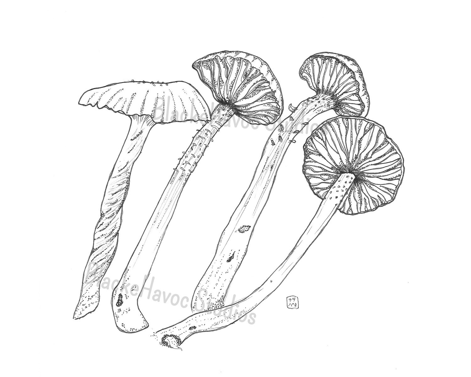 Amethyst Deceiver