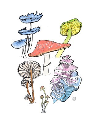 Mushroom Bouquet