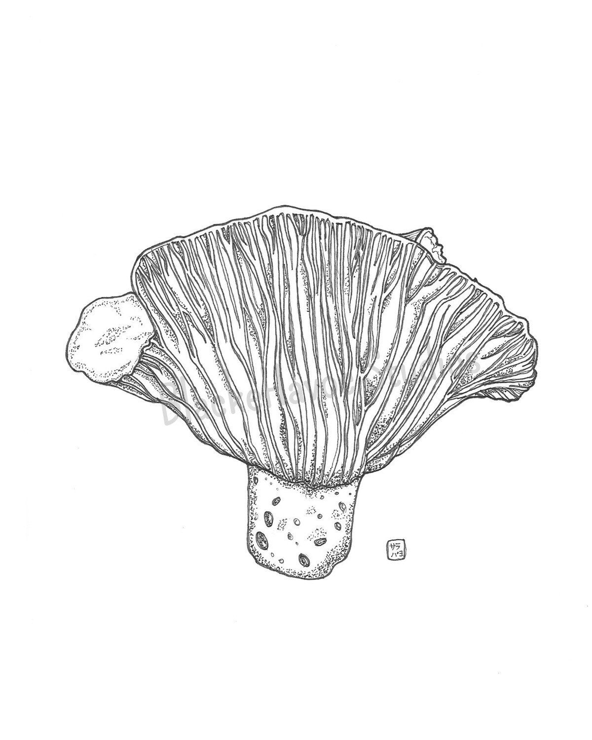 Indigo Milkcap