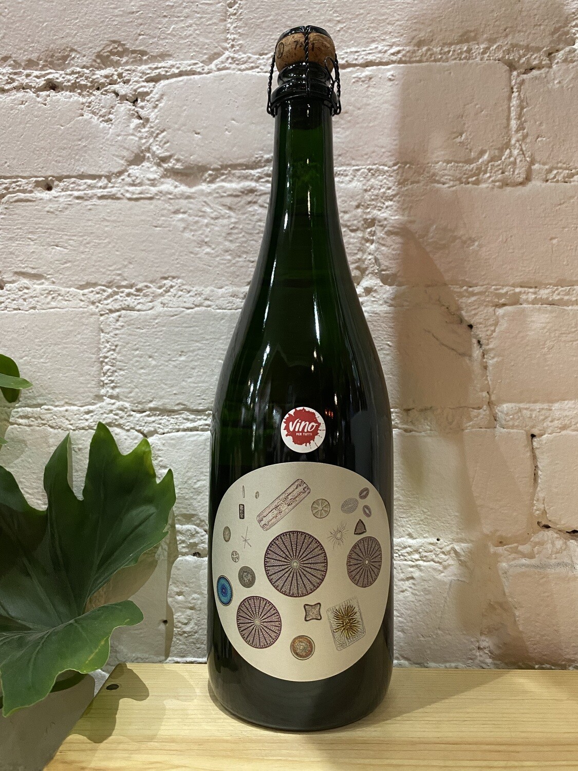 Sandhi Blanc de Blanc