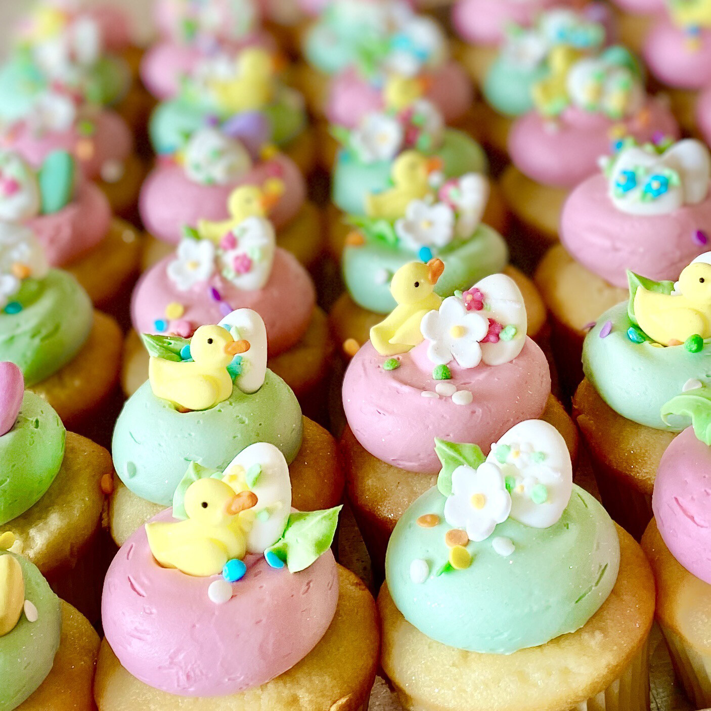 A Dozen Easter Babycakes