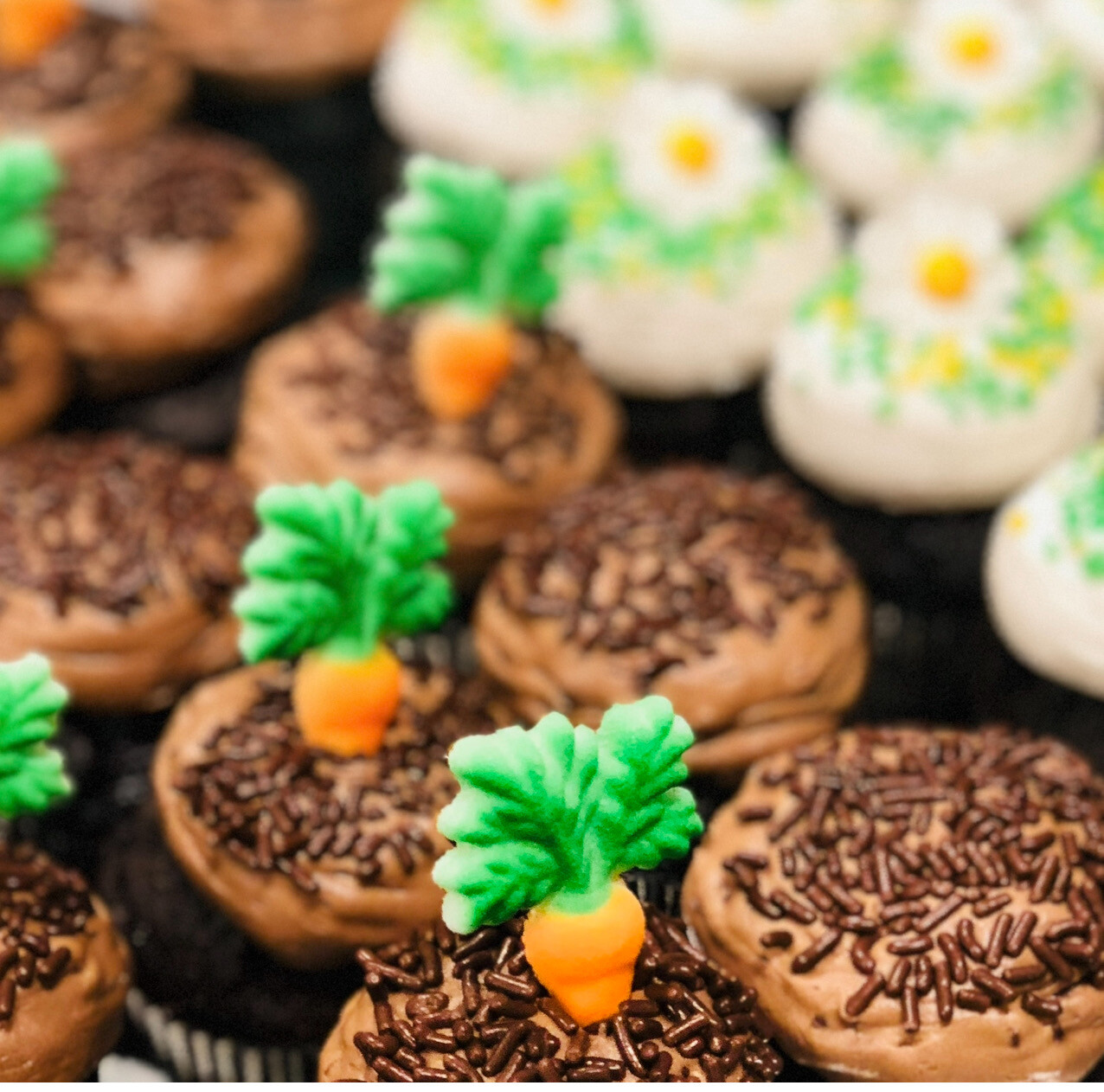 Easter Babycake Bundle Easter Babycake Bundle