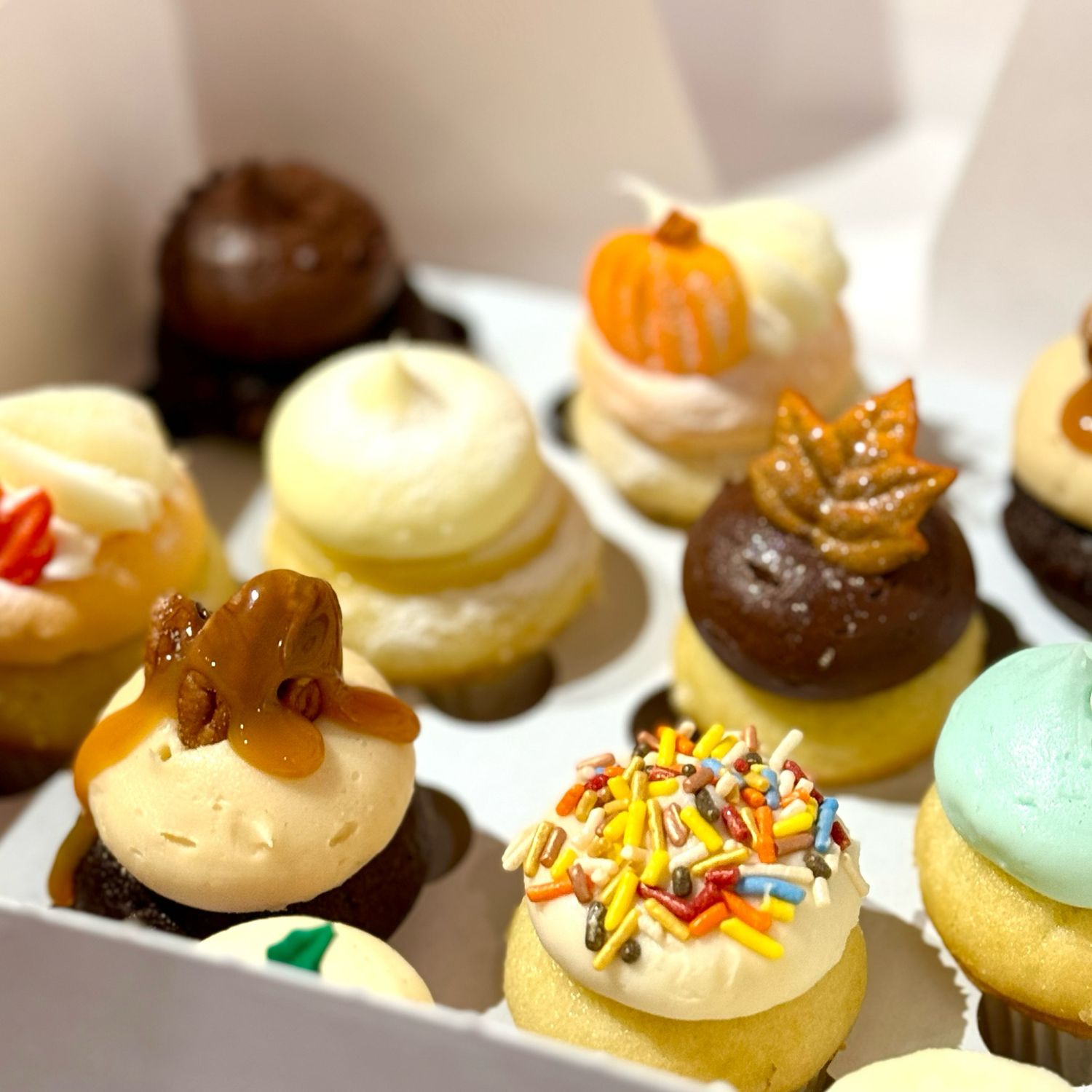 Fall Dozen Babycake Box