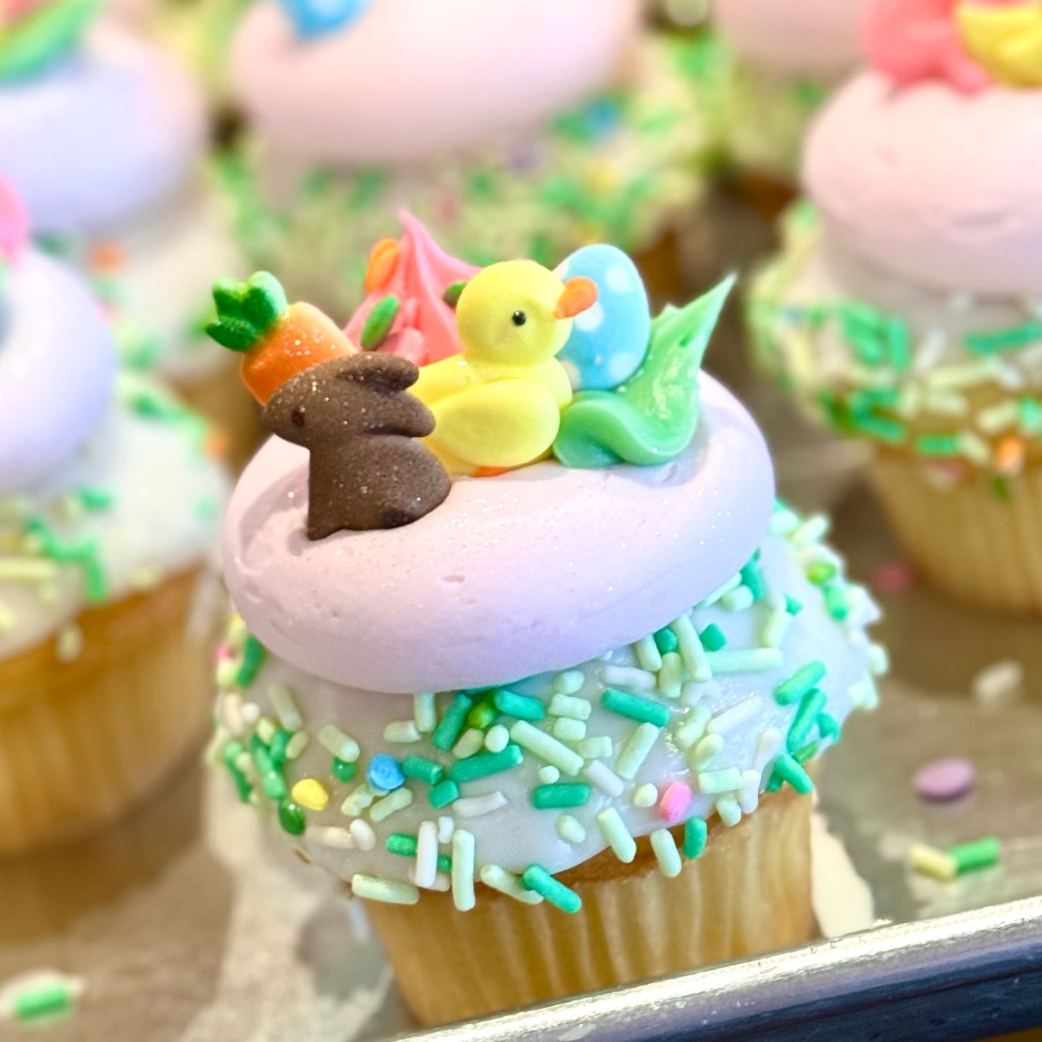 Baby Chicks &amp; Bunnies