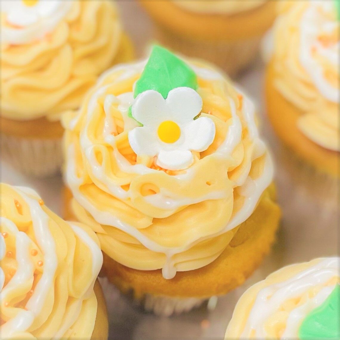 Creamsicle