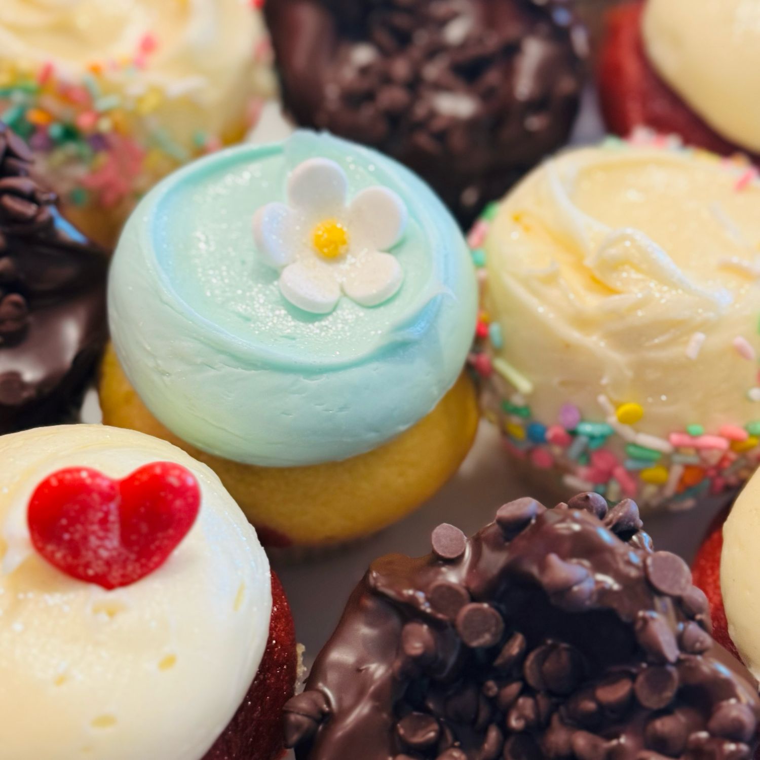 $45 Classic Deluxe Dozen Box (no substitutions)