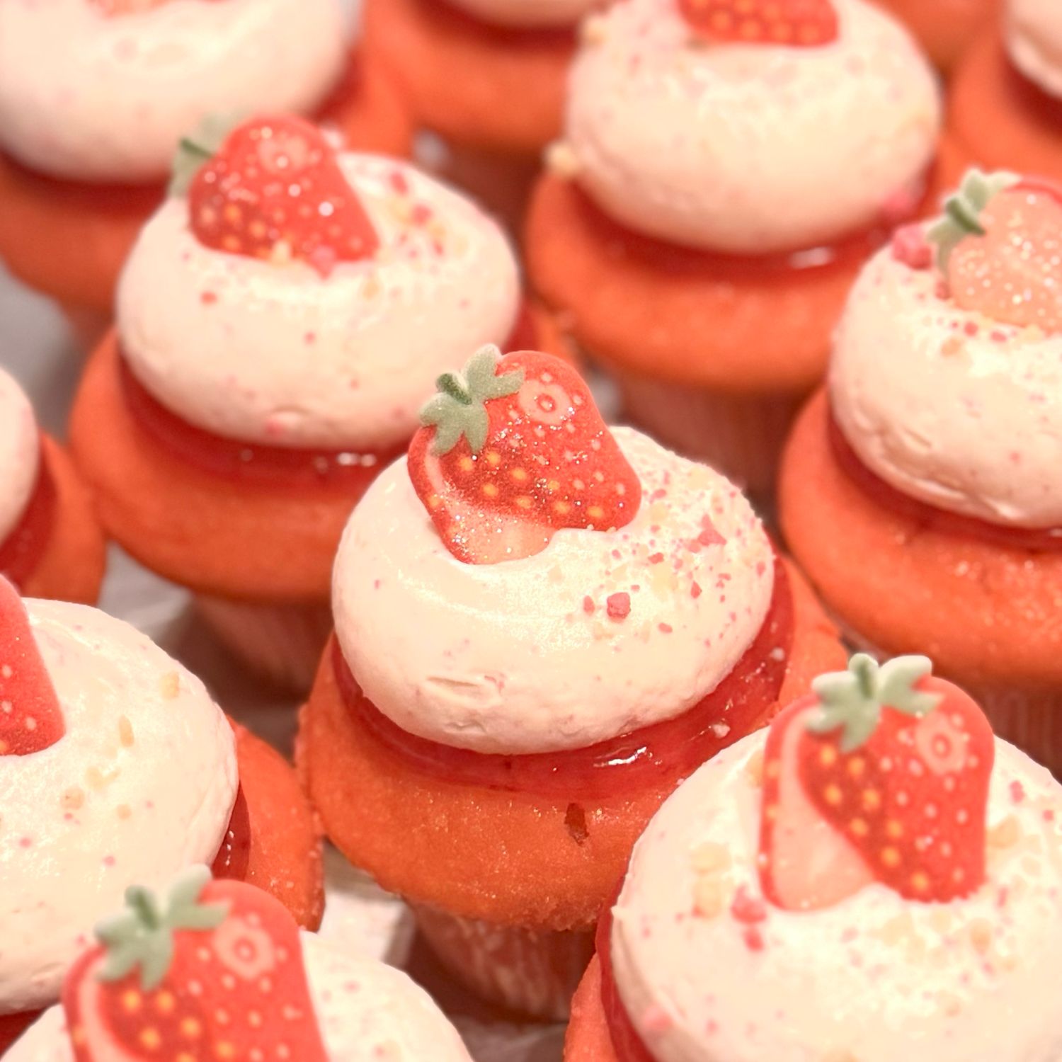 Strawberry Cheesecake