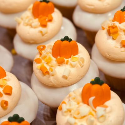 Pumpkin Patch