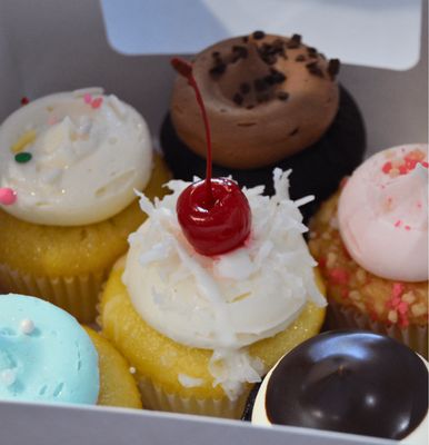6-Pack  Babycake Assortment
