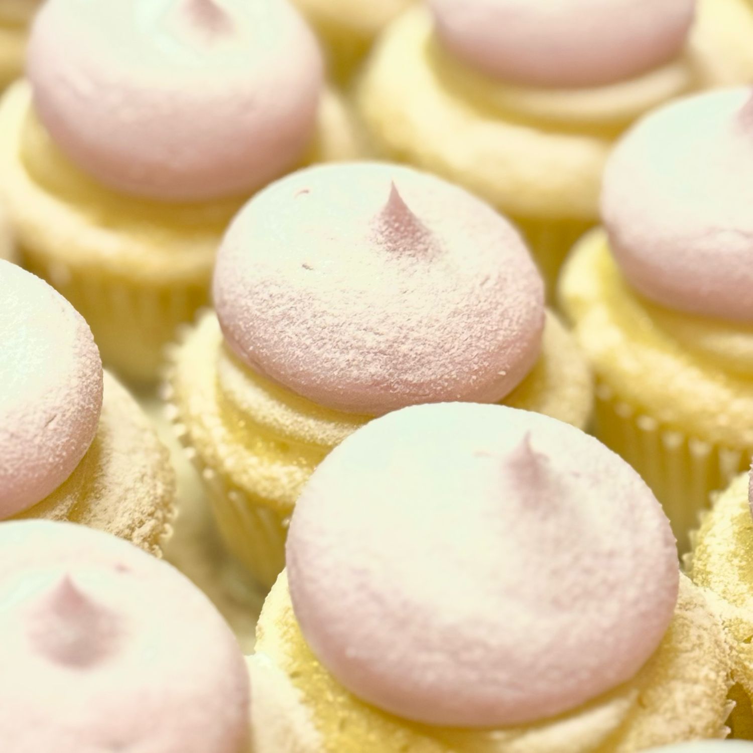 Baby Lemonberry Baby Lemonberry