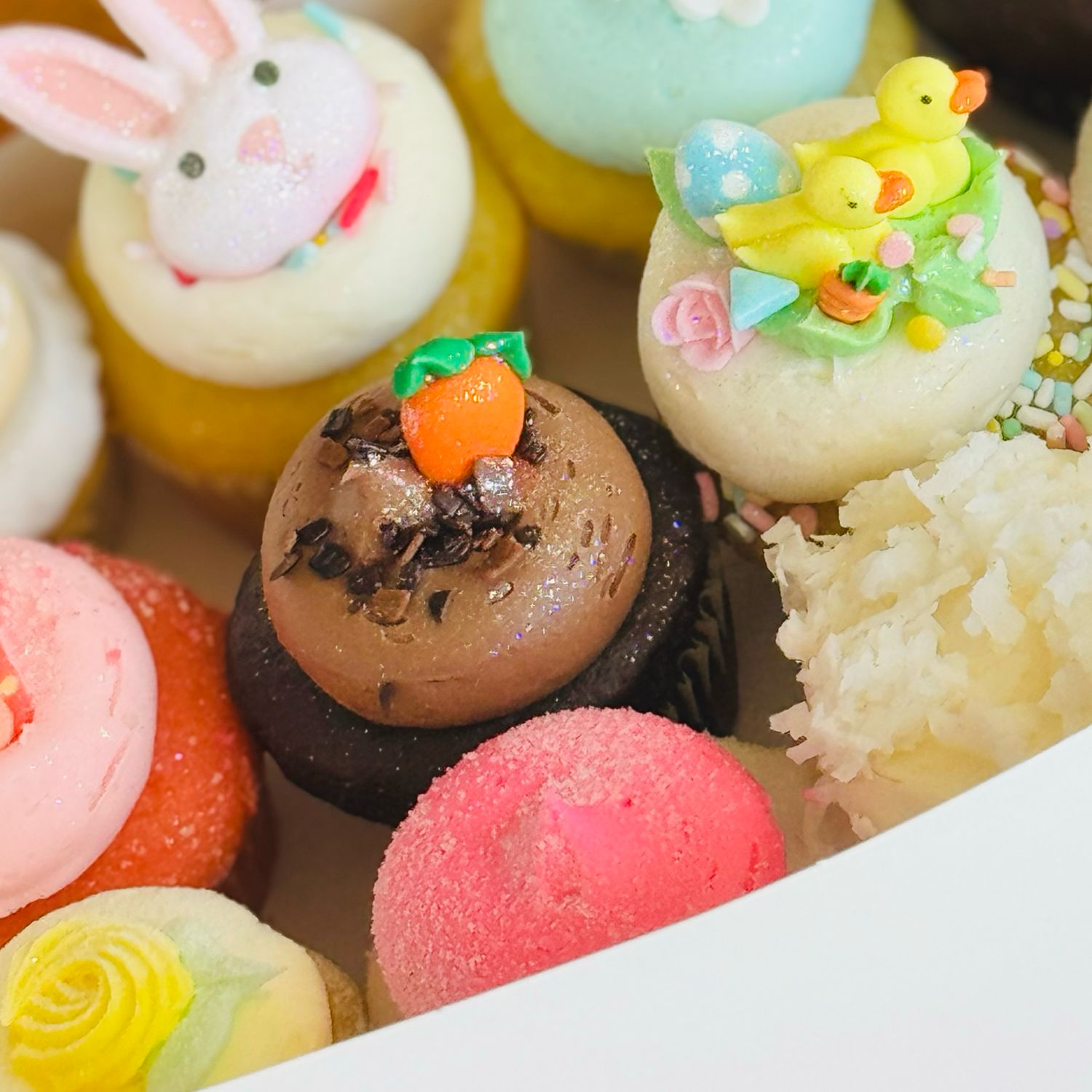 $25 Easter Babycake Bundle