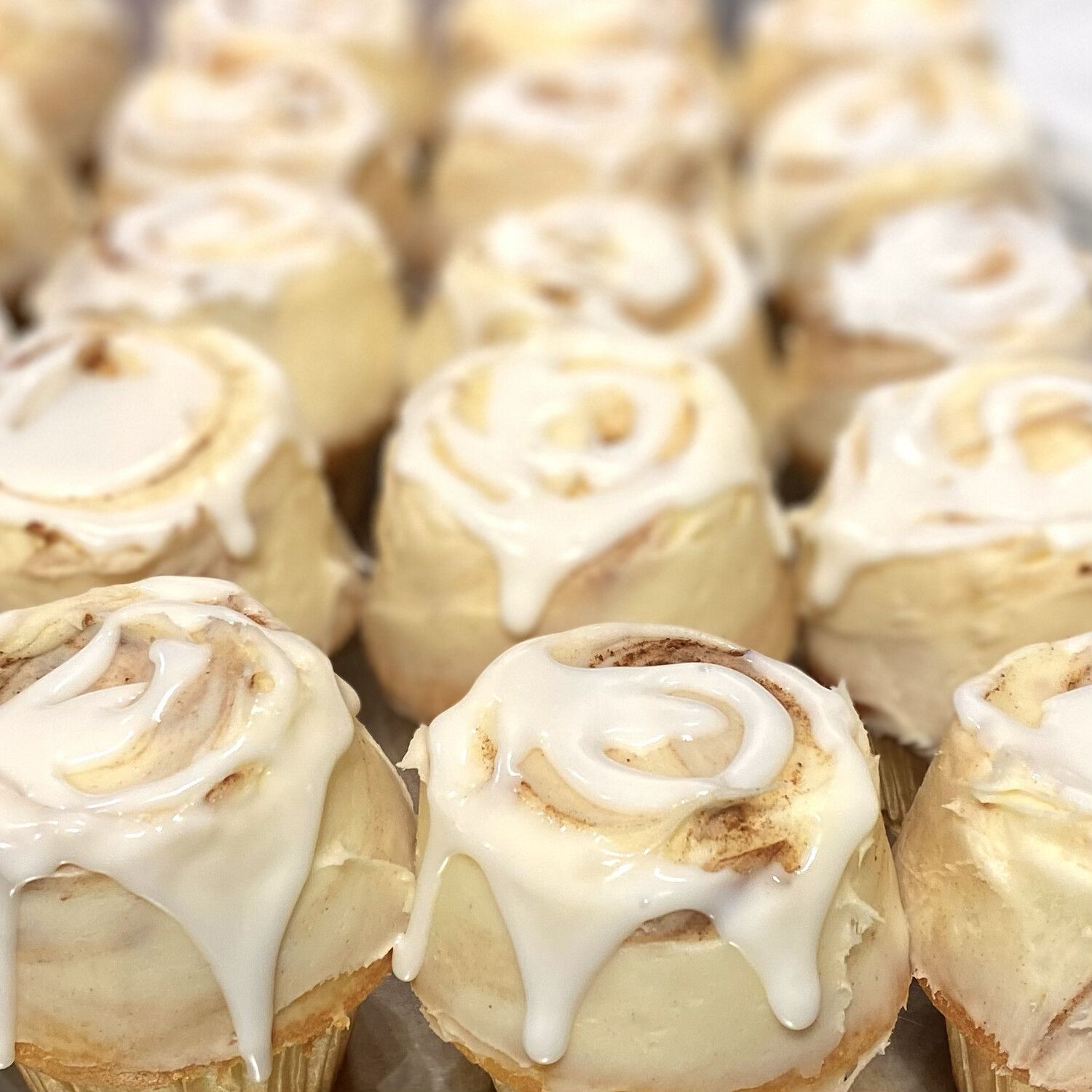 Cinnamon Roll