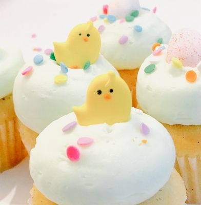 Baby Chicks &amp; Bunnies