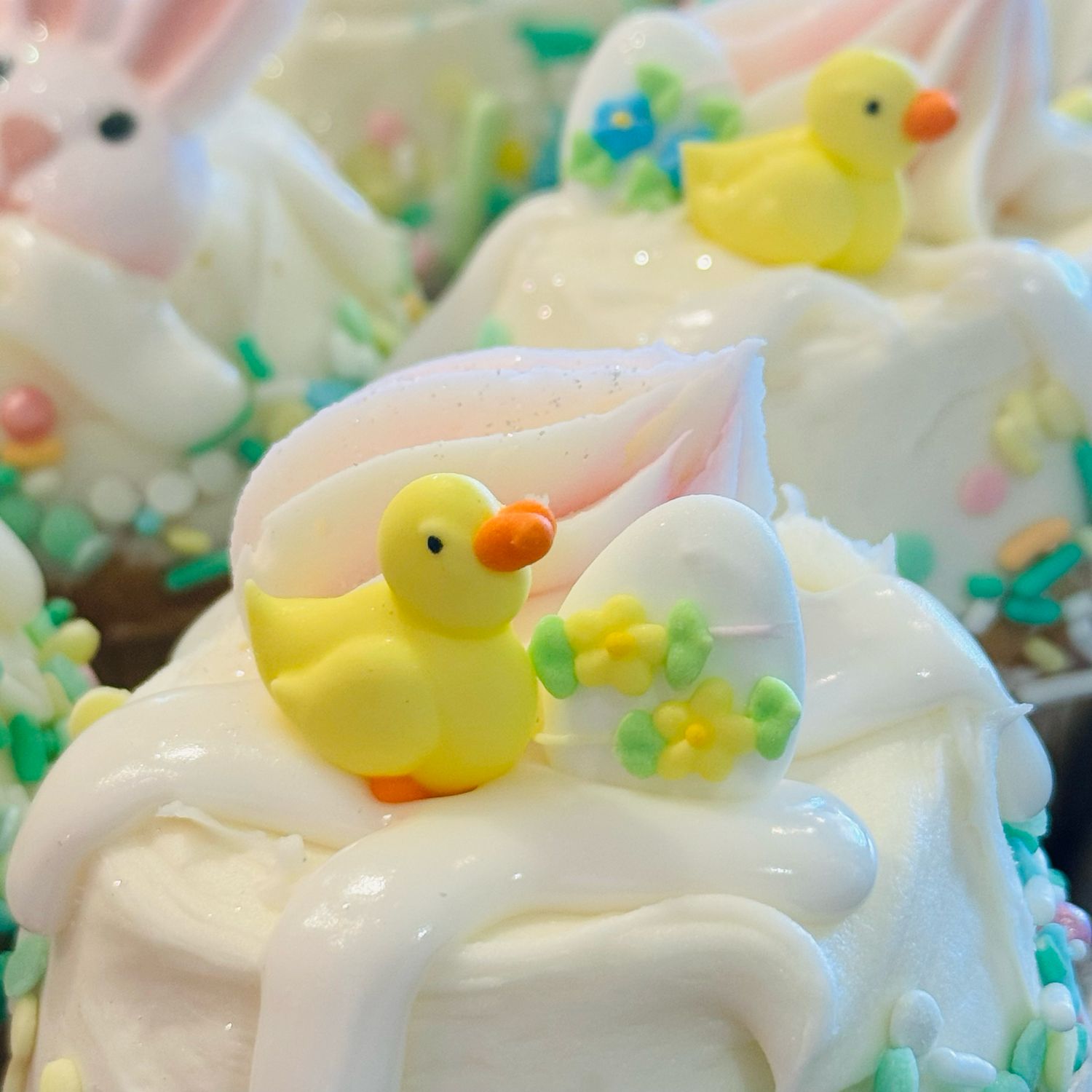 Big Chicks &amp; Bunnies